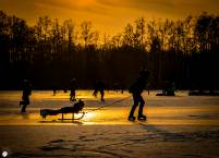 Skating