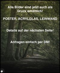 WERBUNG1